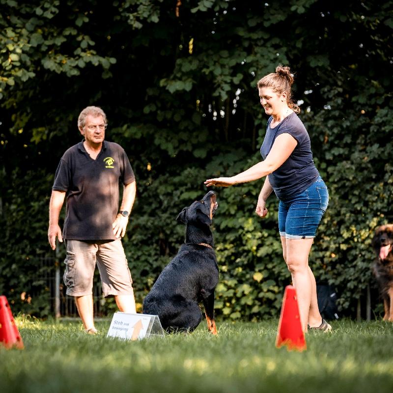 Rally Obedience